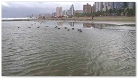 Praia Grande
Belezas Naturais e Arquitetnicas