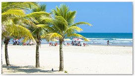 Praia Grande
Belezas Naturais e Arquitetnicas